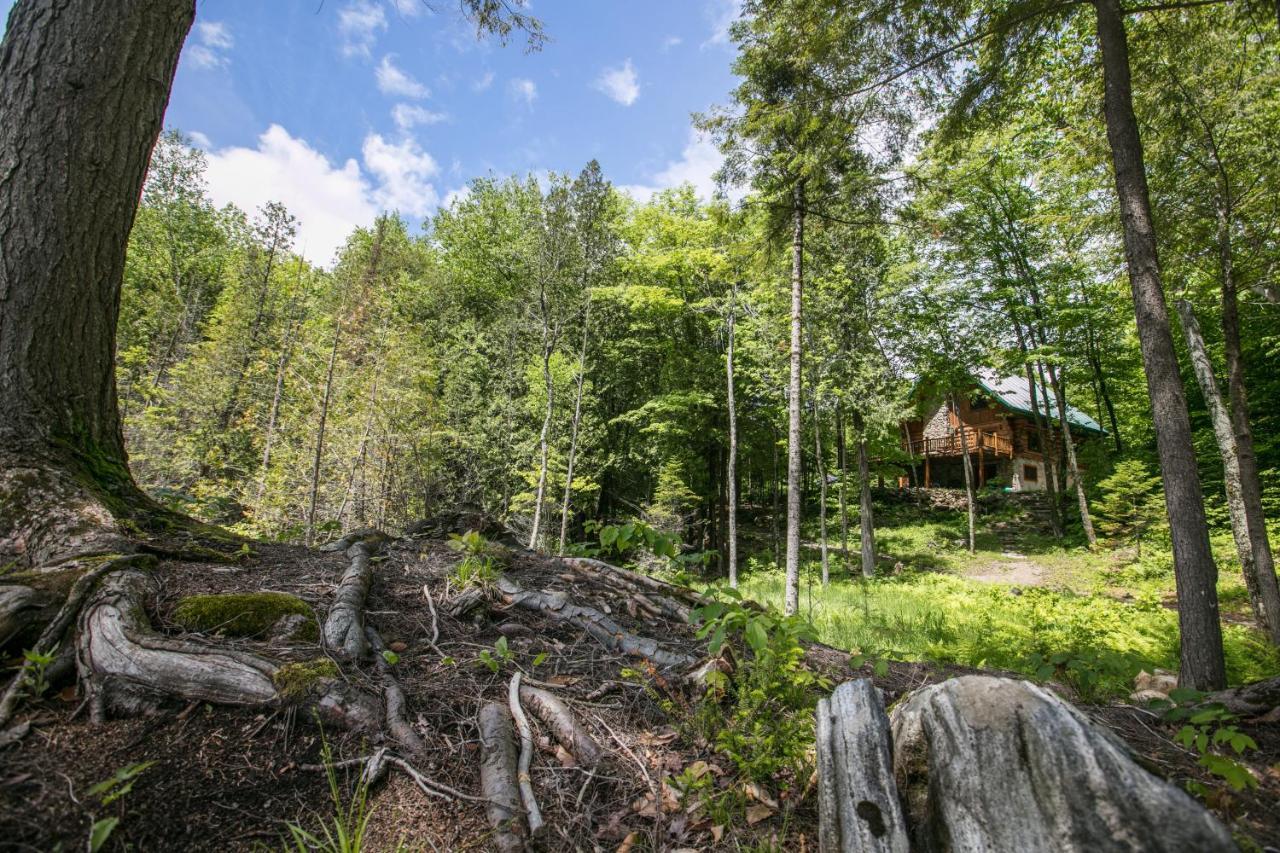 Domaine La Cedriere Villa Grenville-Sur-La-Rouge Eksteriør billede